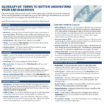 CAD Healthcare Provider Conversation Guide 